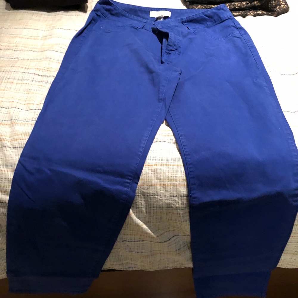 Royal blue pants